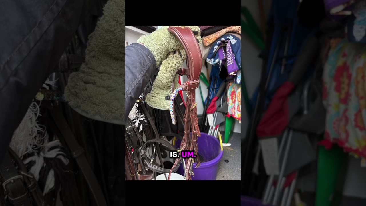 Shopping for Western Headstalls and English Bridles