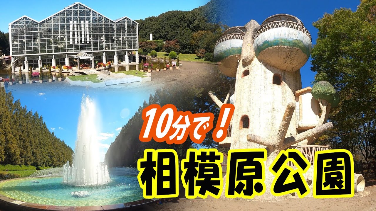 相模原公園を10分くらいで！