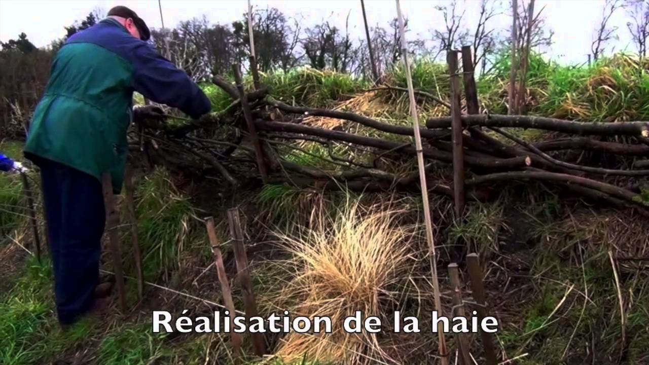 Ateliers participatifs de la Ferme de Paris
