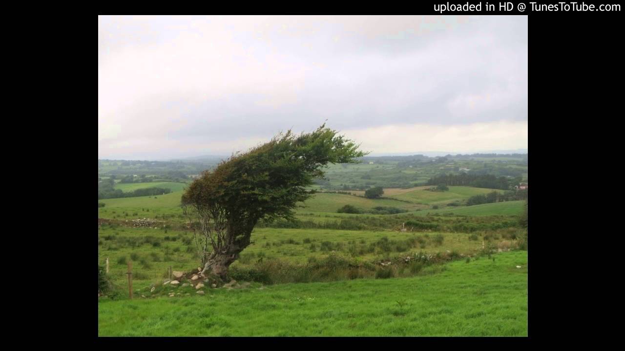 Peggy Sweeney - The Valley of Knockanure (Better Quality)