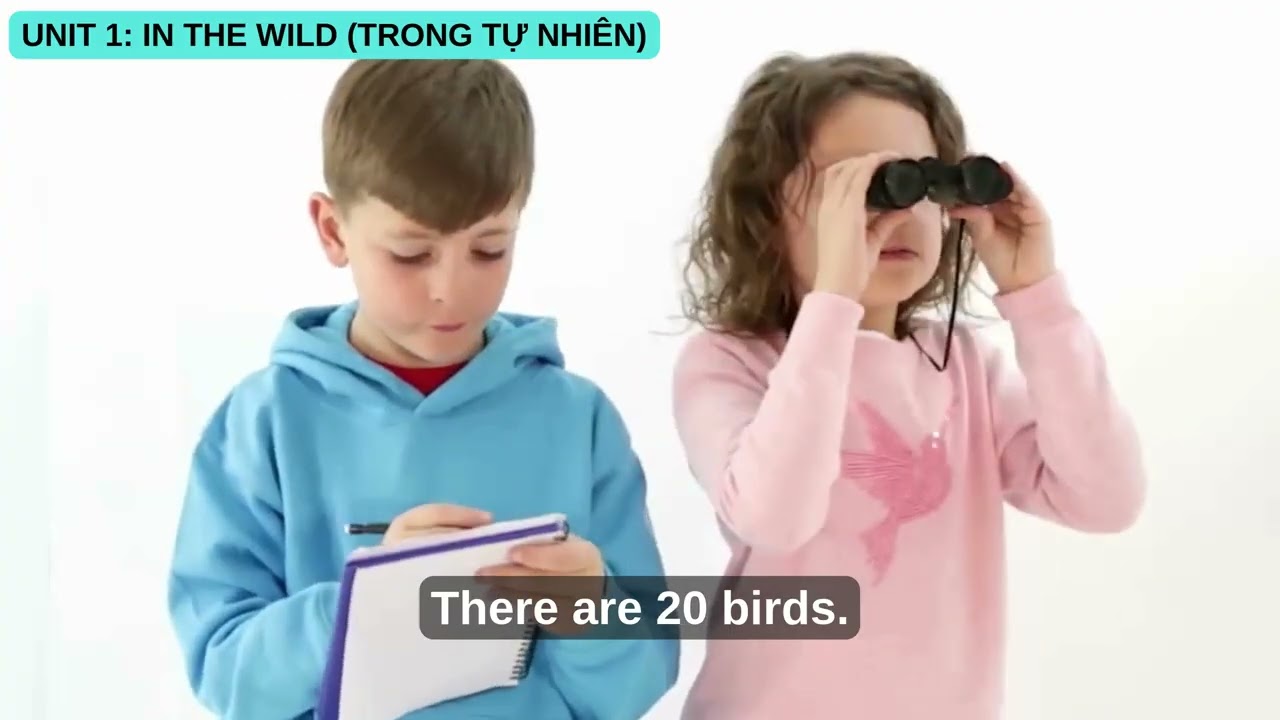 Unit 1: In the wild - ACA2 (Grammar - Vocabs - Story)