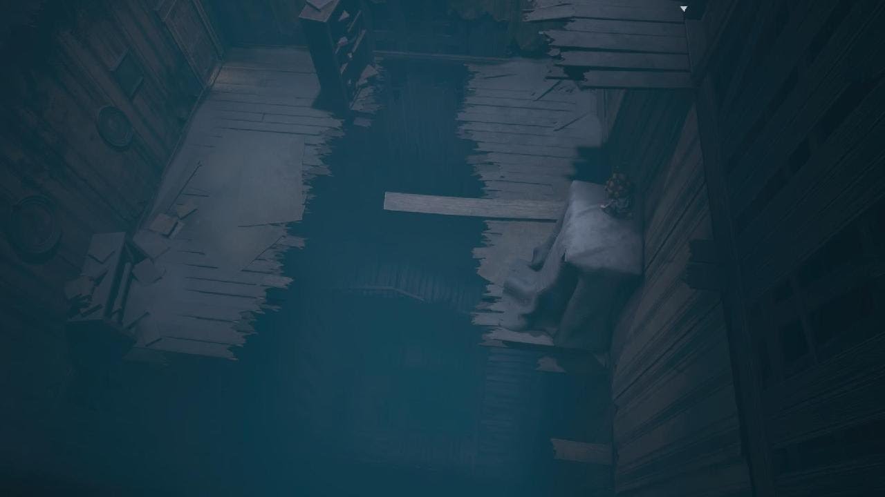 REANIMAL_6