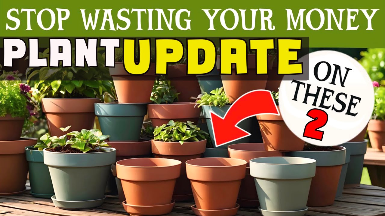 PLANT UPDATE: stop wasting your money on plastic plant pots. See my plants now 1 MONTH LATER