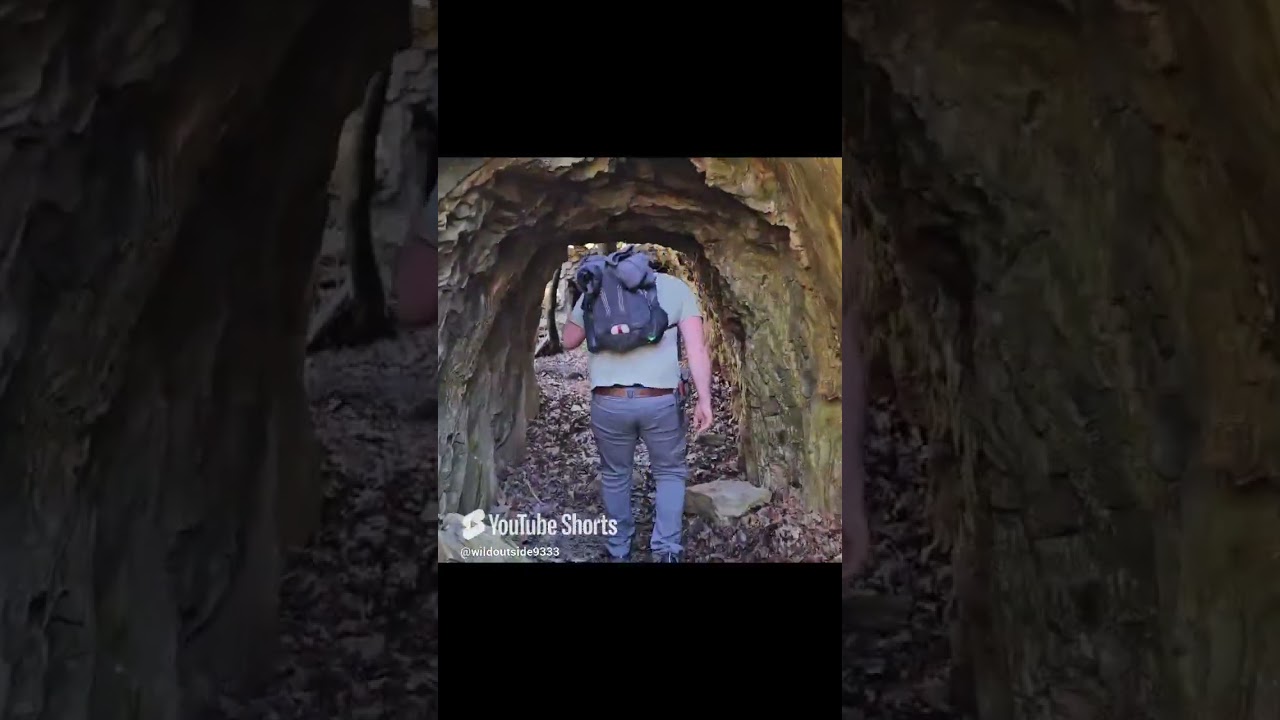 Exploring Lost Gold Mines of Uwharrie National Forest