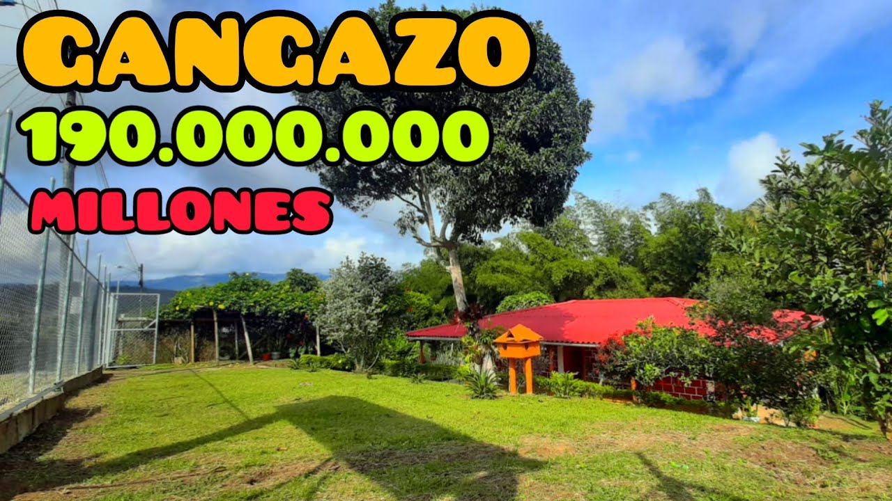 #PEDROPARRA #GANGAZO #como te puedes perder esta parcela 190.000.000 cerca cali