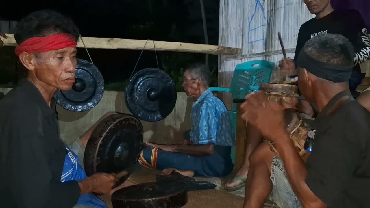 Gong Sumba#kodikanal #pitalis