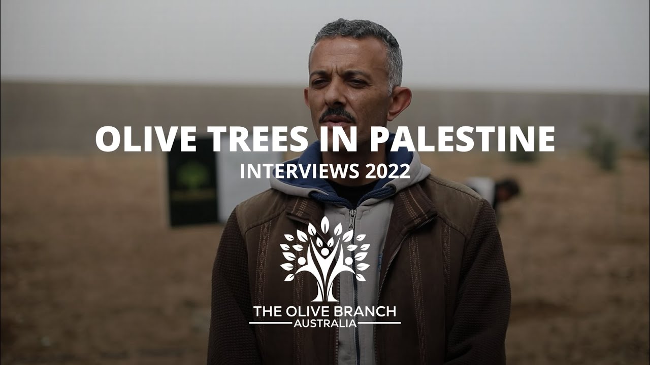 Donation of 50 Olive Trees in Palestine - Interview
