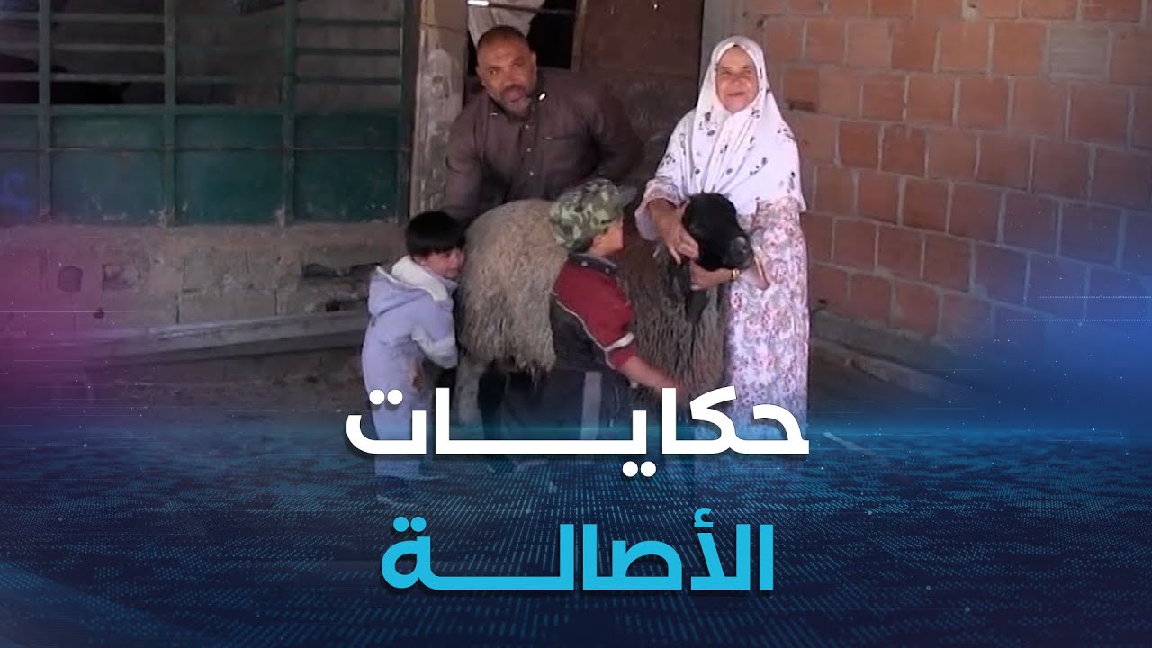 ريبورتاج | جبل مستاوة .. حيث يحكي العيد حكايات الأصالة