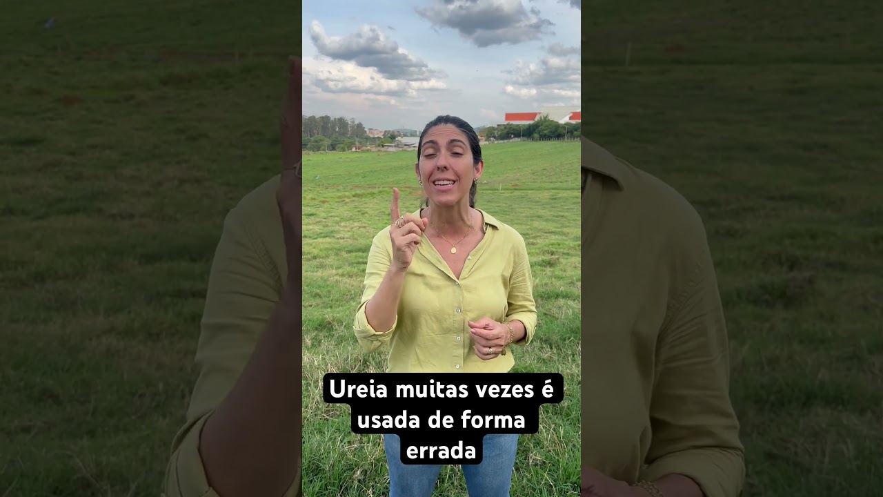 Como usar ureia em pastagem 