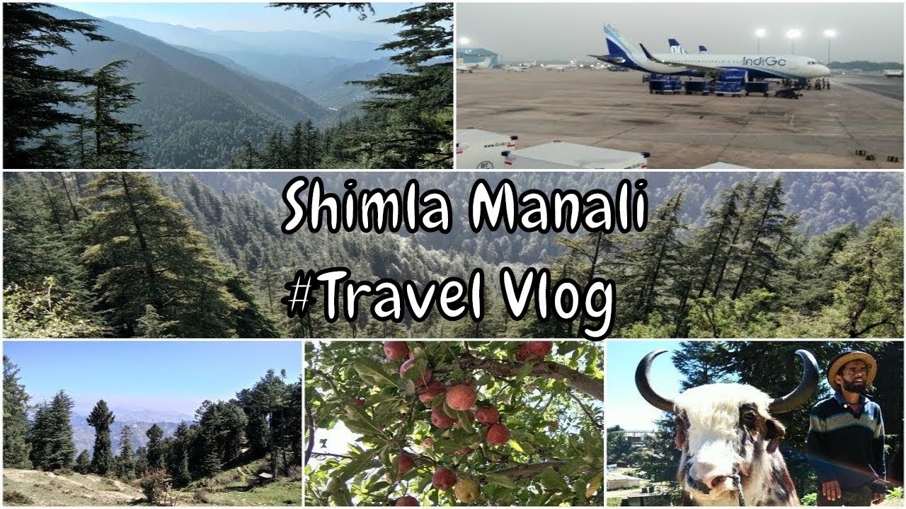 Shimla & Manali Tour Journey | Shimla Manali Travel Vlog | By Street Food & Travel Junction
