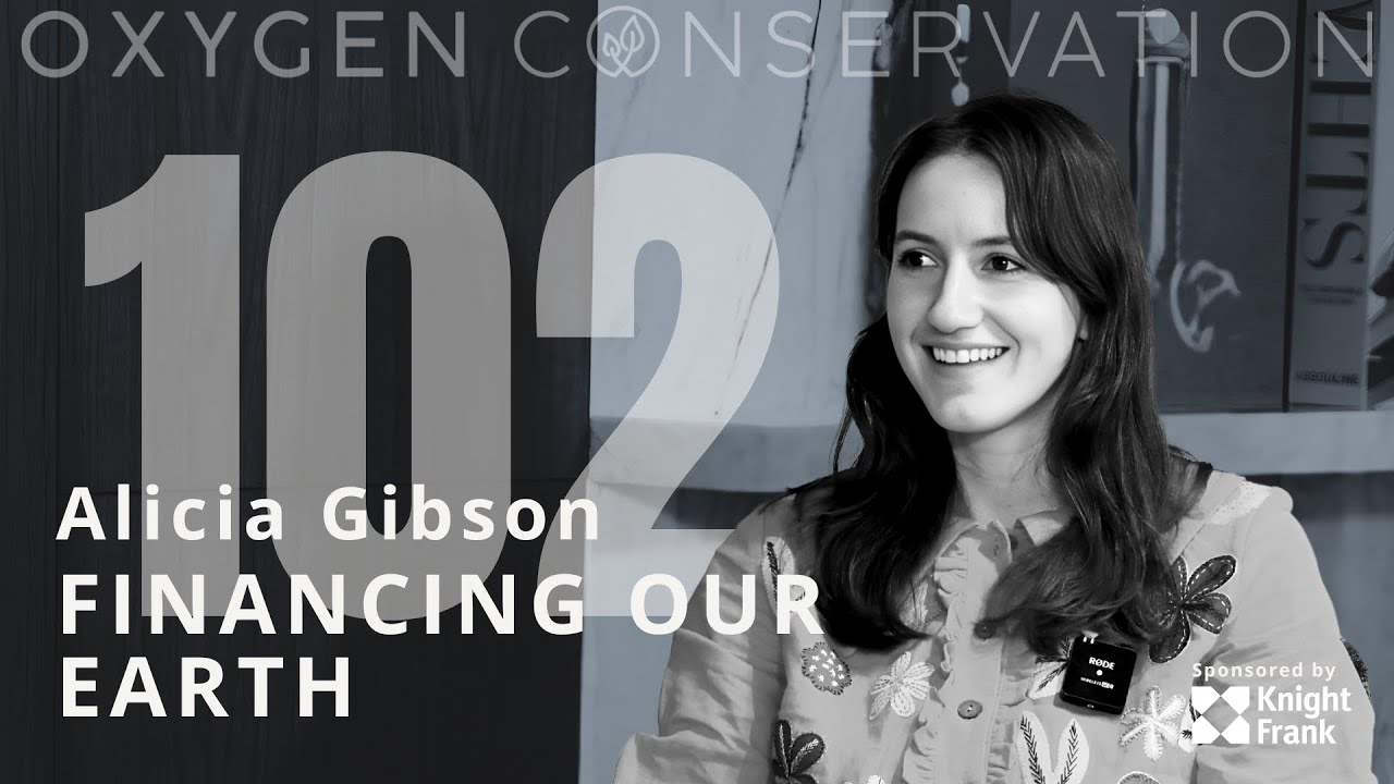 Are You Missing the Biggest Investment Opportunity of the Decade? | Alicia Gibson