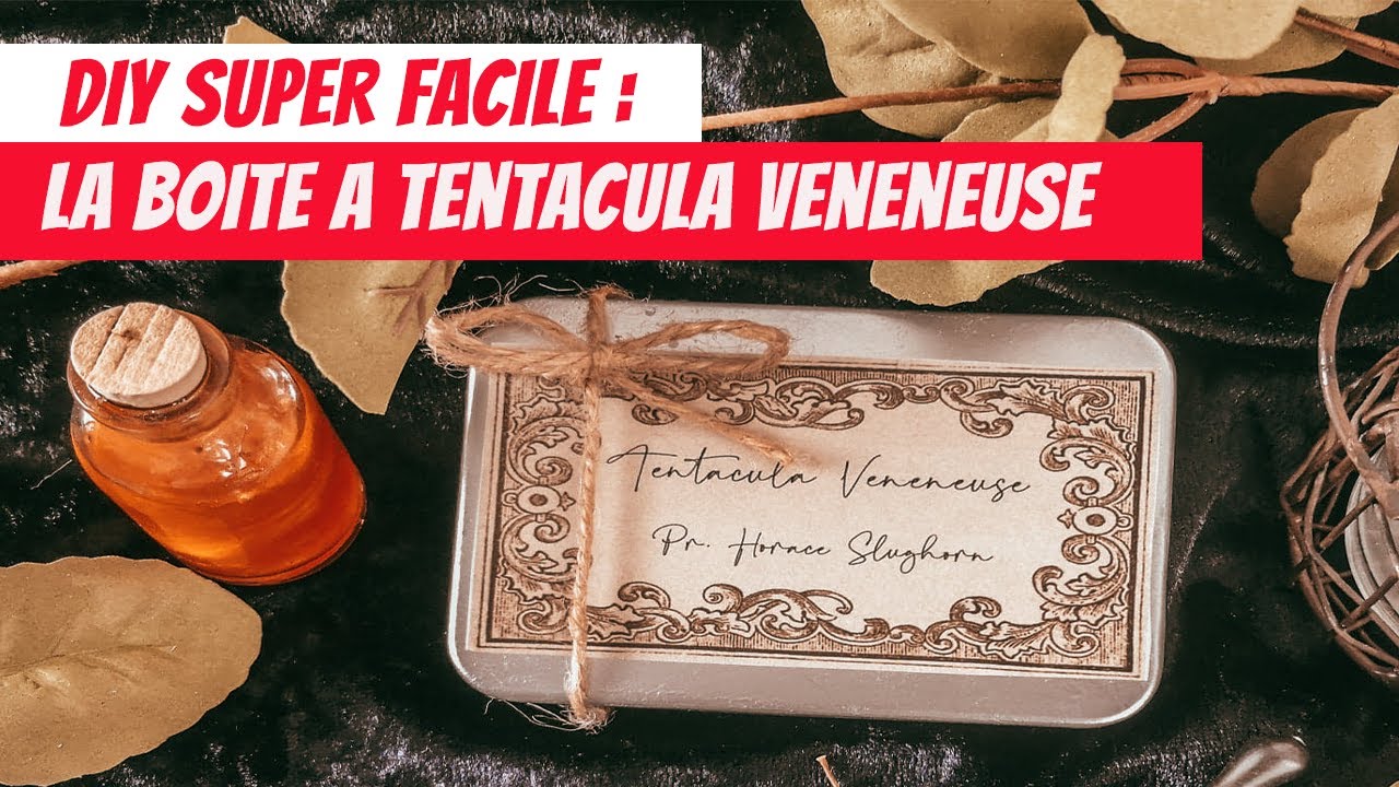 DIY HARRY POTTER SUPER FACILE : La boite à tentacula vénéneuse 🌱🌿 !
