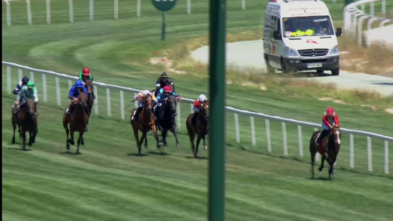 5ª Carrera del 9 de Junio en el Hipódromo de la Zarzuela