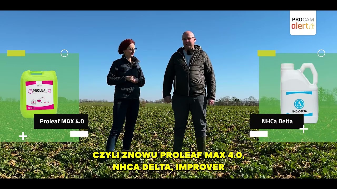 PROCAM Alert: Rzepak nawożony w technologii hybrydowej PROCAM przy wykorzystaniu PROCAM SKY SYSTEM