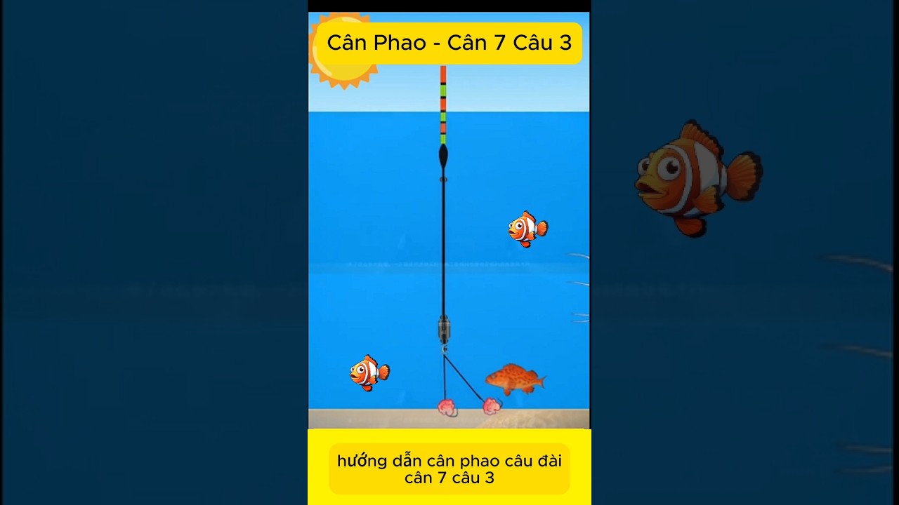 C&acirc;n 7 c&acirc;u 3 - c&aacute;ch c&acirc;n phao c&acirc;u đ&agrave;i #fishing #can7cau3 #cachcanphao