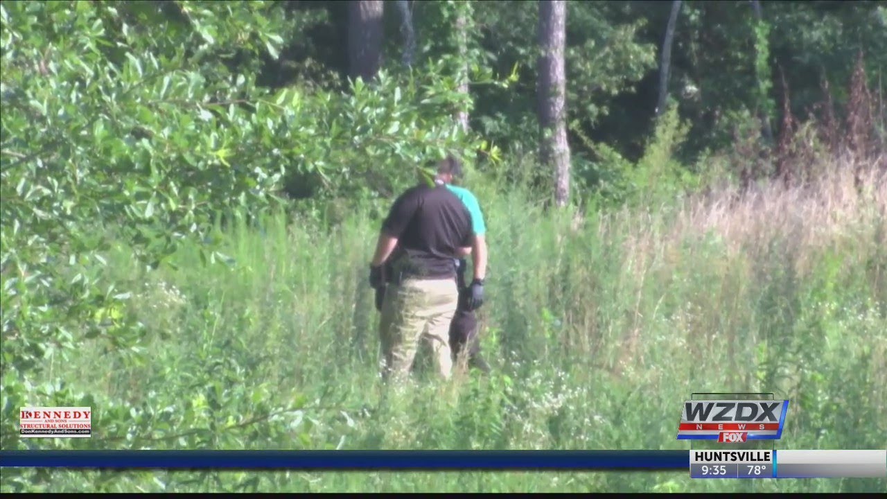 Domestic violence culprit of triple homicide