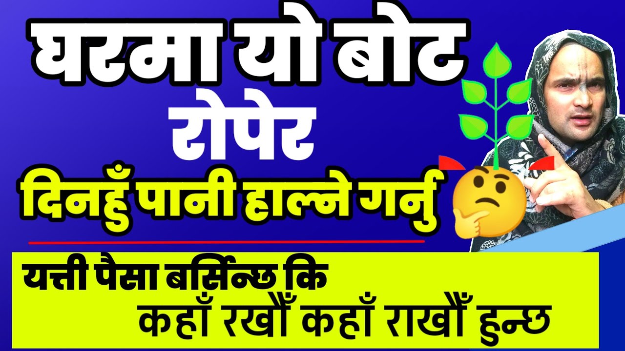 घरमा यो बोट रोपेर दिनहुँ पानी हाल्ने गर्नुहोस|#money #motivation#trending  #jyotish#nepali #easy