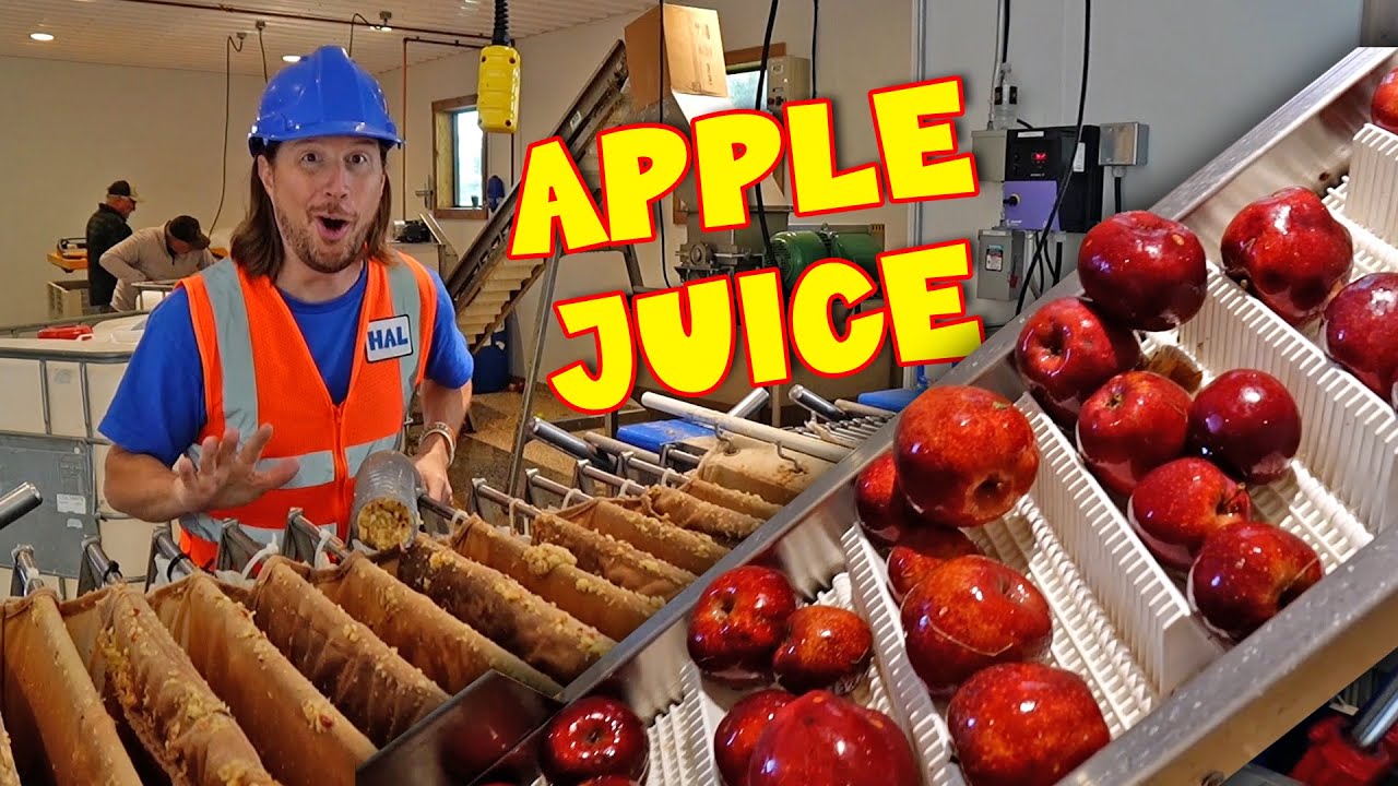 🍎Изготовление яблочного сидра 🍎 Как делают яблочный сок 🍎 Замечательная песня