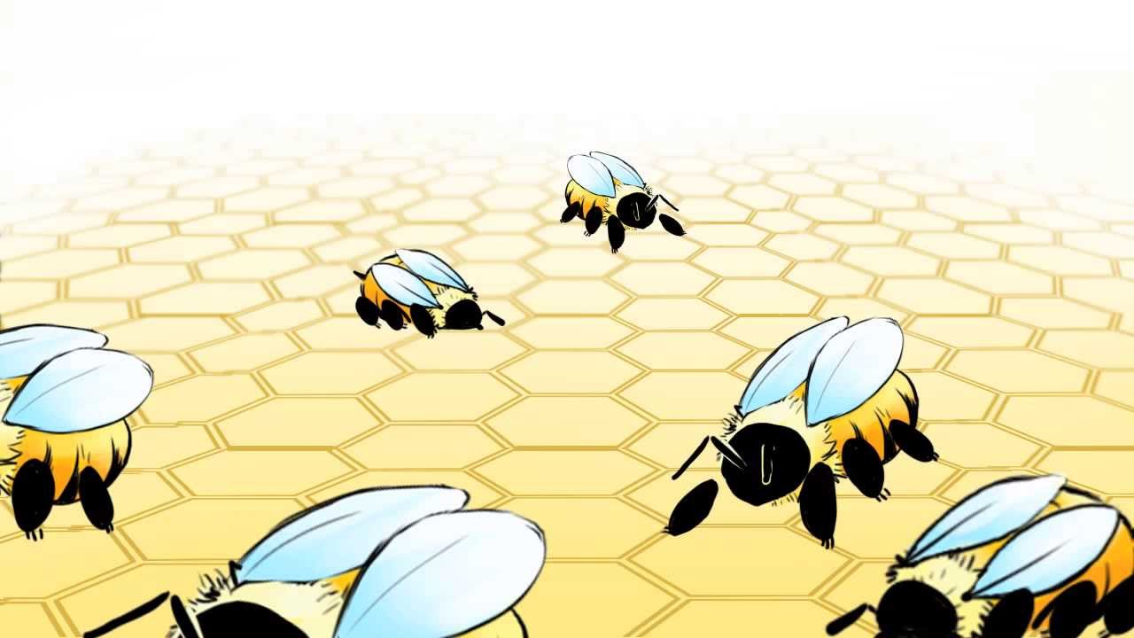 Reproduction and Brood Development - How are different kinds of bees created?