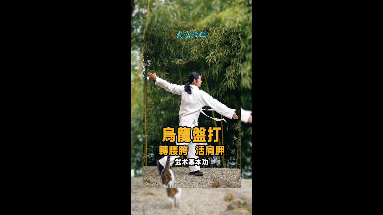 烏龍盤打 武術基本功 Tai chi Tutorial