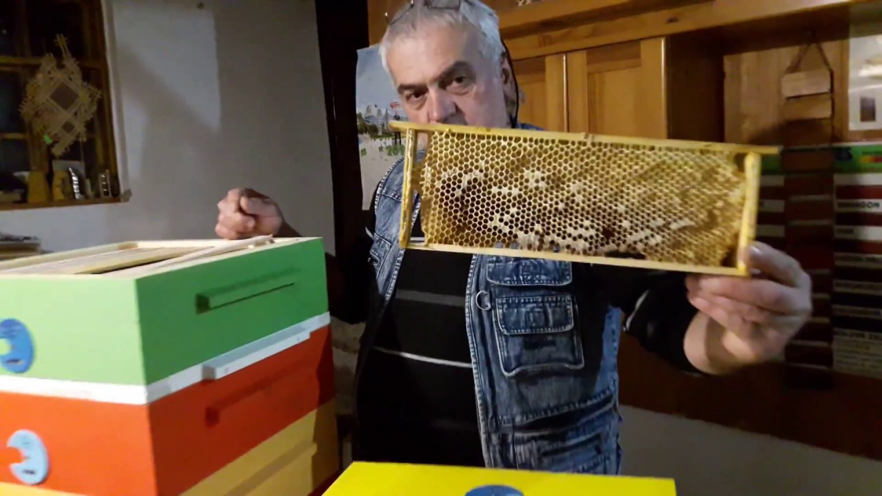 Да разгледаме кошер 