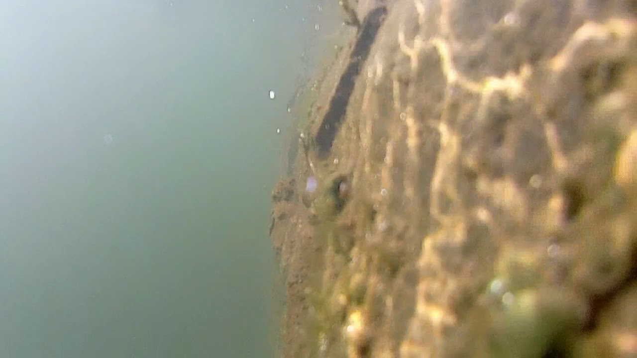Action Camera in Dam water dropped😢😭