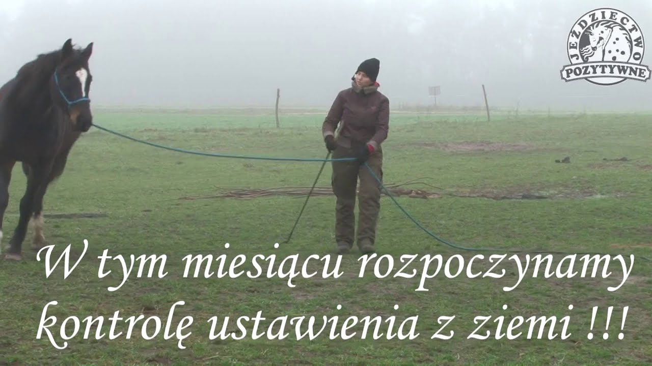 Zwiastun luty 2016