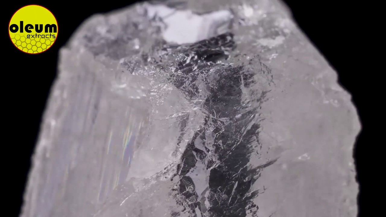 Wizard Stone Head Spin