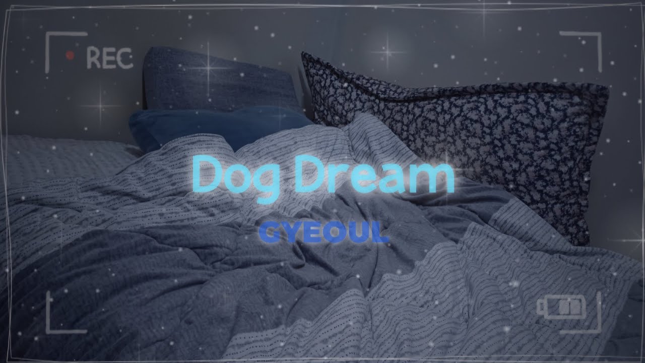 🐶🌙🌕 GYEOUL - Dog Dream (개 꿈) 🌕🌙🐶 [잘 때 듣기 좋은 노래]