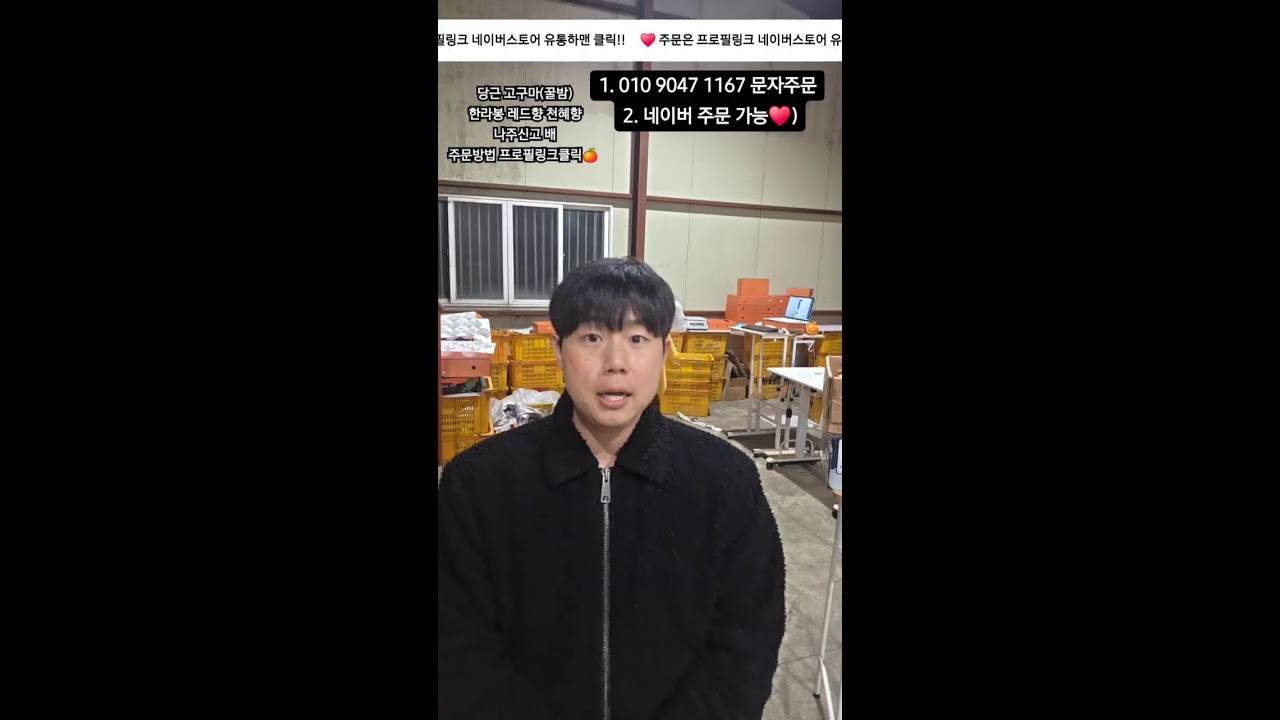 유통하맨 이벤트있어요 한라봉 레드향 천혜향 고민이시면 들어오세요😄 #구좌당근#한라봉#레드향#배#천혜향#꿀고구마#과일선물세트