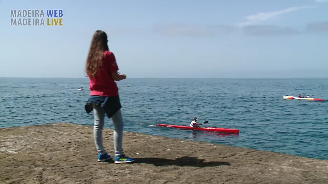 Banana Exhibit - Festa da Banana - Madalena do Mar 2016