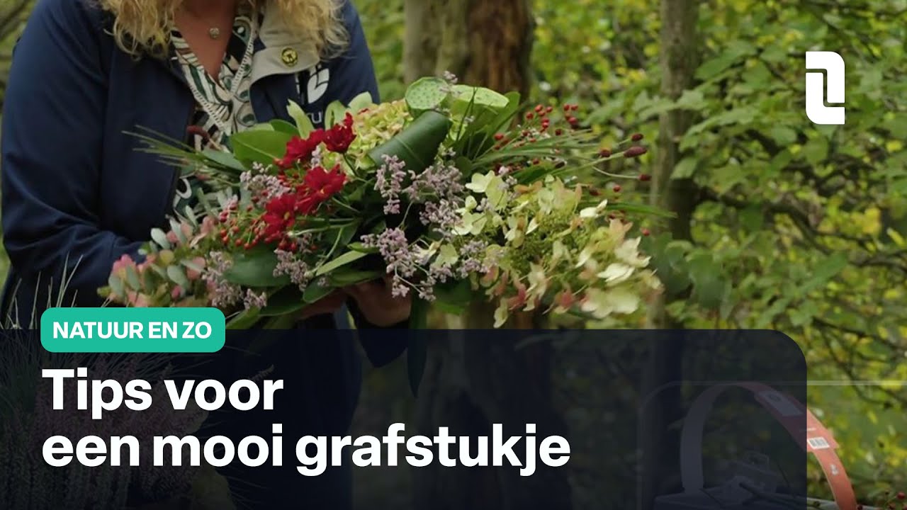 Zo kun je een mooi grafstukje maken | Natuur en Zo 🌿