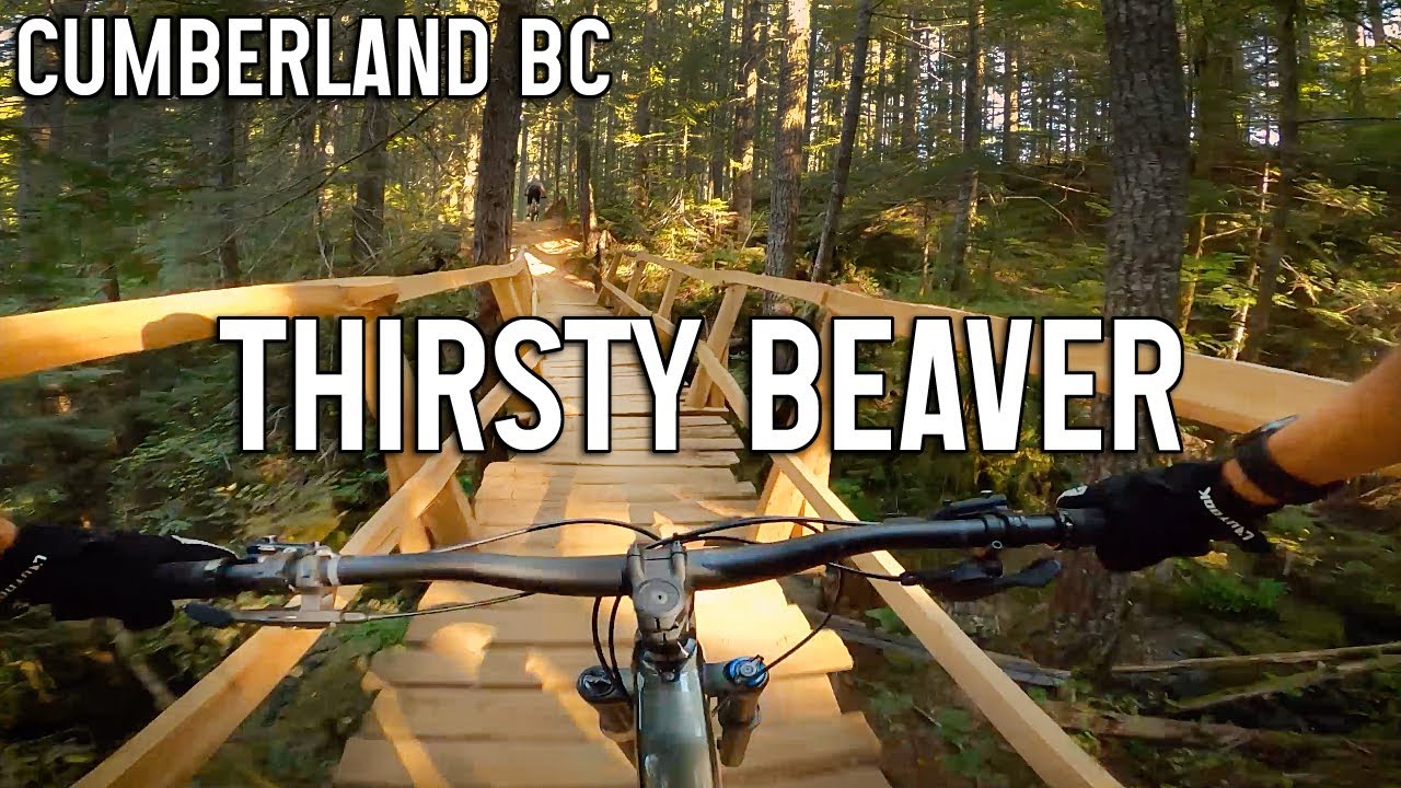 Thirsty Beaver - Cumberland, Vancouver Island Mountain Biking