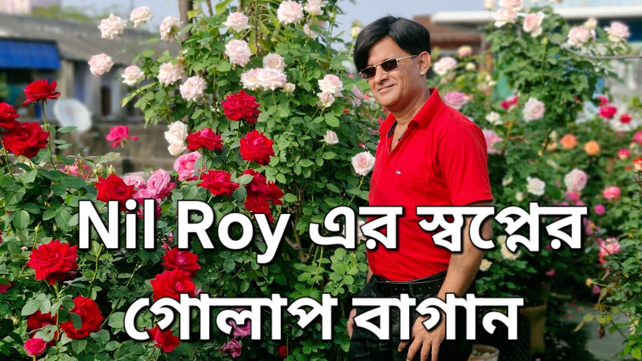 Nil Roy এর স্বপ্নের গোলাপ বাগান|Best rooftop rose garden|