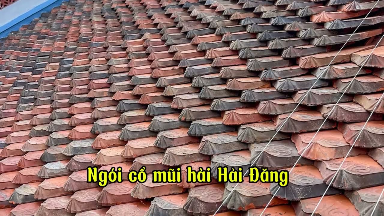 Ngói Cổ Mũi Hài Đen – Dấu Ấn Truyền Thống Đến Từ Hải Đăng