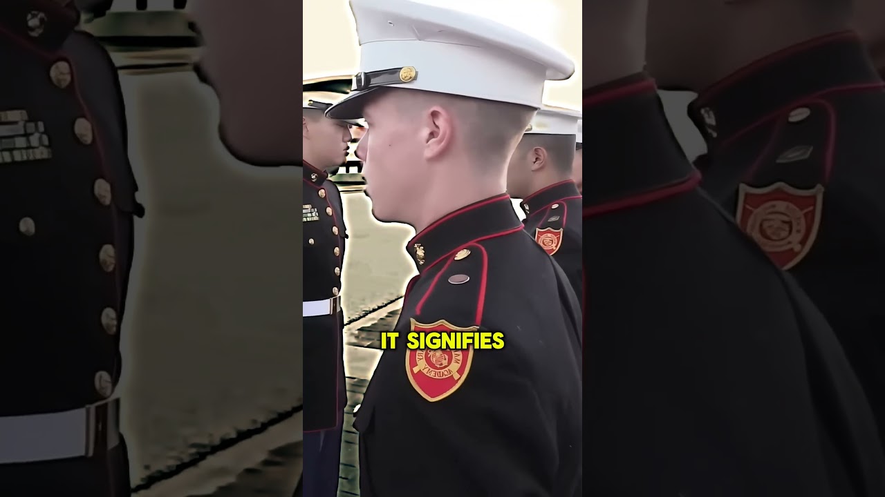 How many leadership principles are there #usmc #marinecorps #usmarines #marines #bootcamp #corps