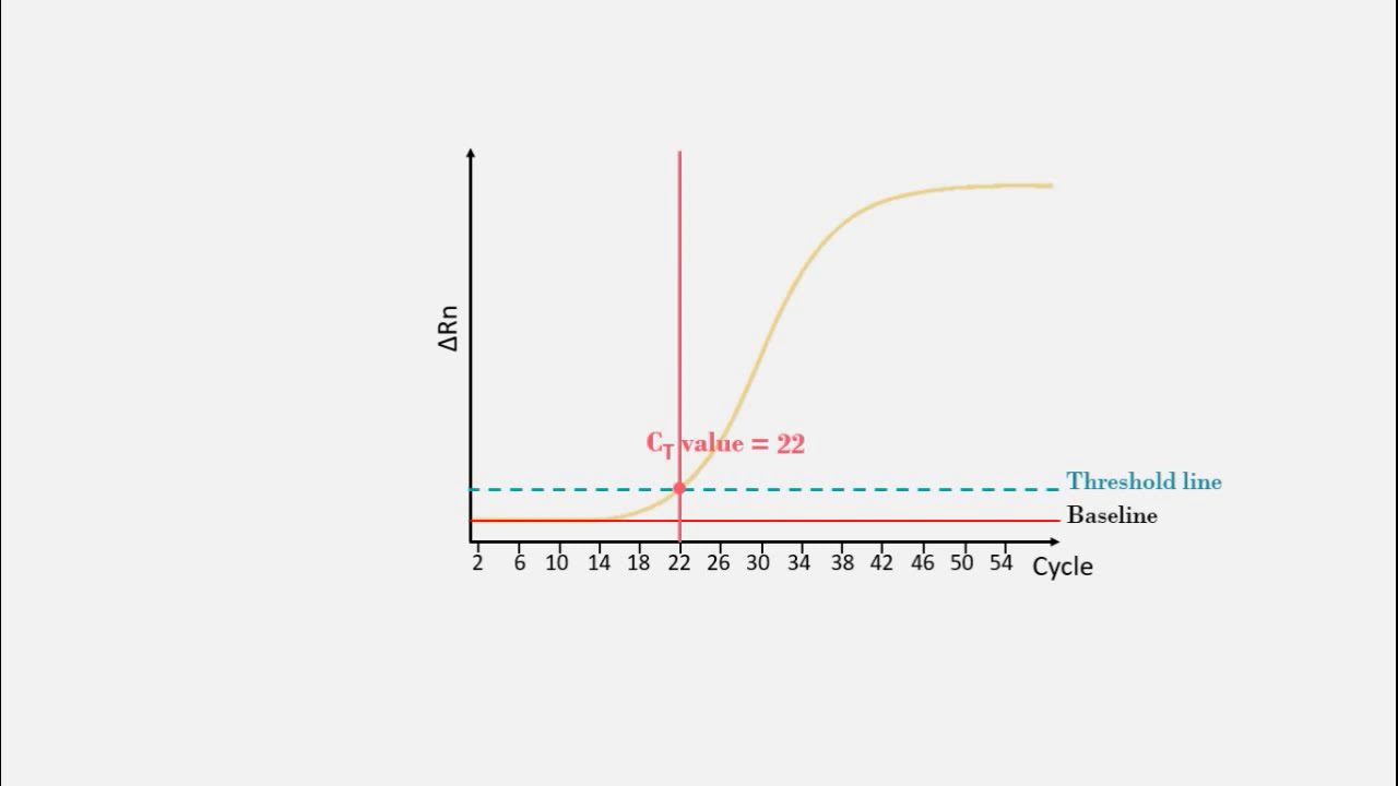 Real-time polymerase chain reaction (real-time PCR) qPCR - PPT Animation
