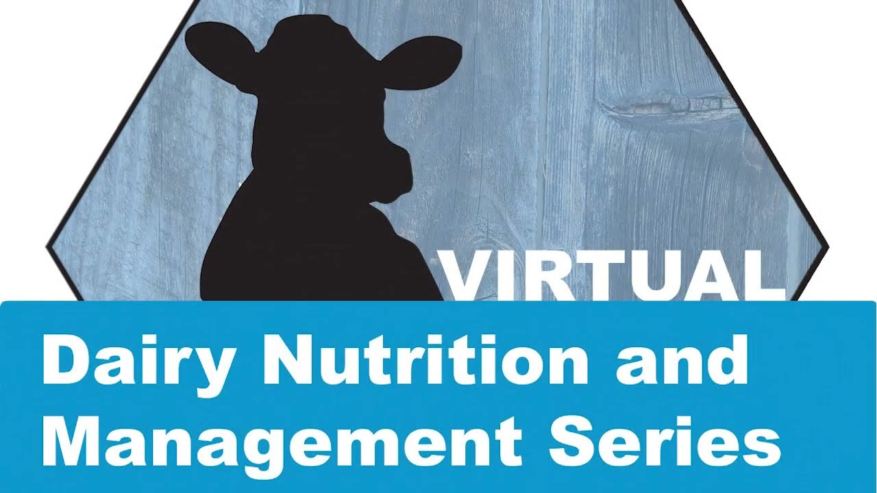 Ferreira - Alternative Dairy Forages