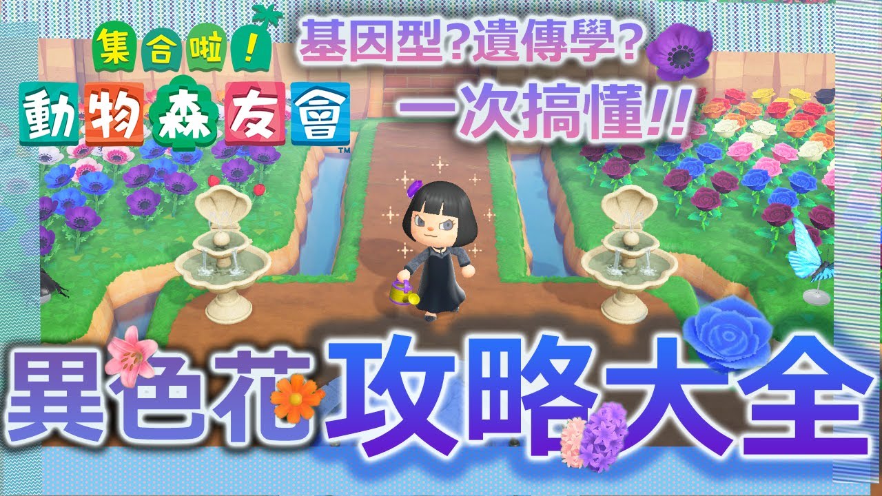 動物森友會 異色花完全攻略!一次搞懂基因型跟育種方式(附懶人表格)│動森閒聊【克雷】