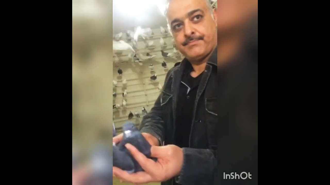 حاج شهرام جعفری نژاد