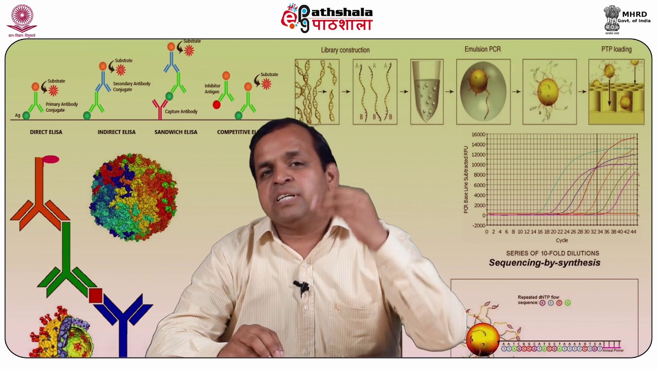 Gene Knockout/targeting