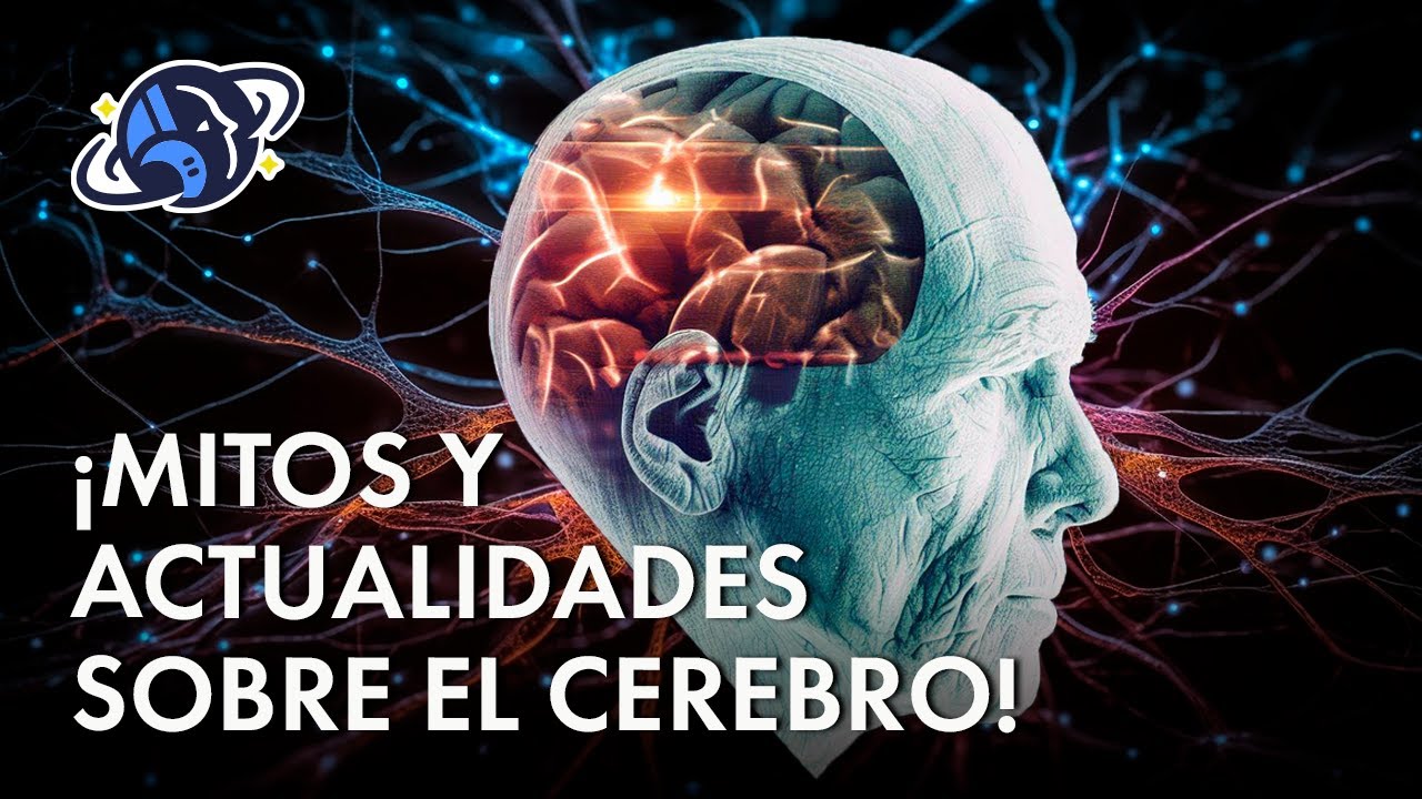 &iexcl;MITOS Y ACTUALIDADES SOBRE EL CEREBRO!