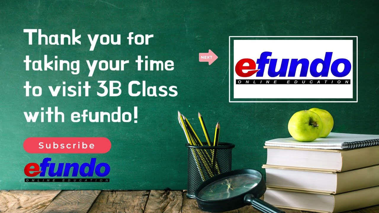 Blakiston Primary School 3B Class Video (Efundo Visit)