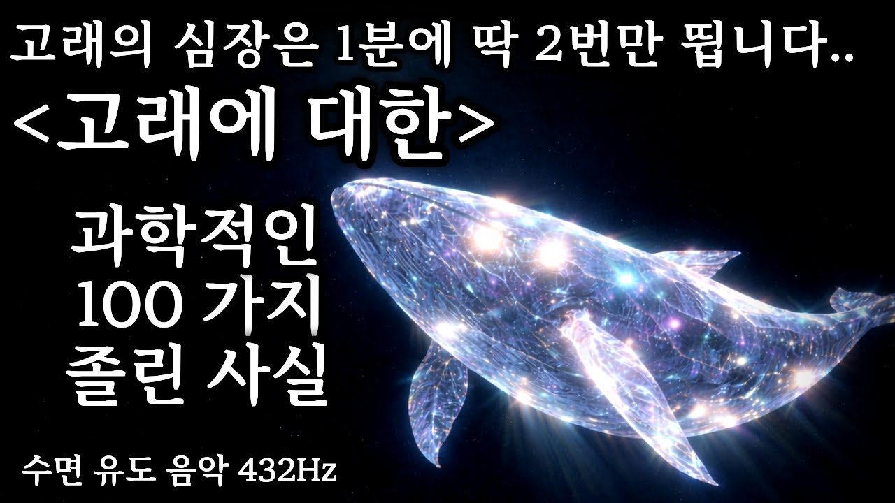 [🌜틀어놓고 주무세요] 고래에 대한 100가지 졸린 사실 (광고 없음❌) 고래 멍 5분 듣다 기절하기 수면 유도 432Hz [#오디오북  #수면  #수면유도 #수면음악]