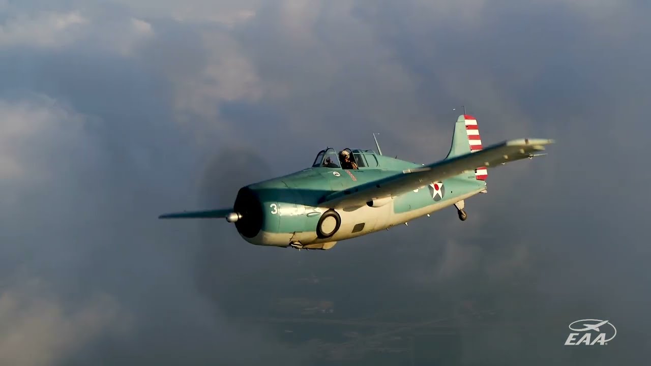 Wildcat Awakened