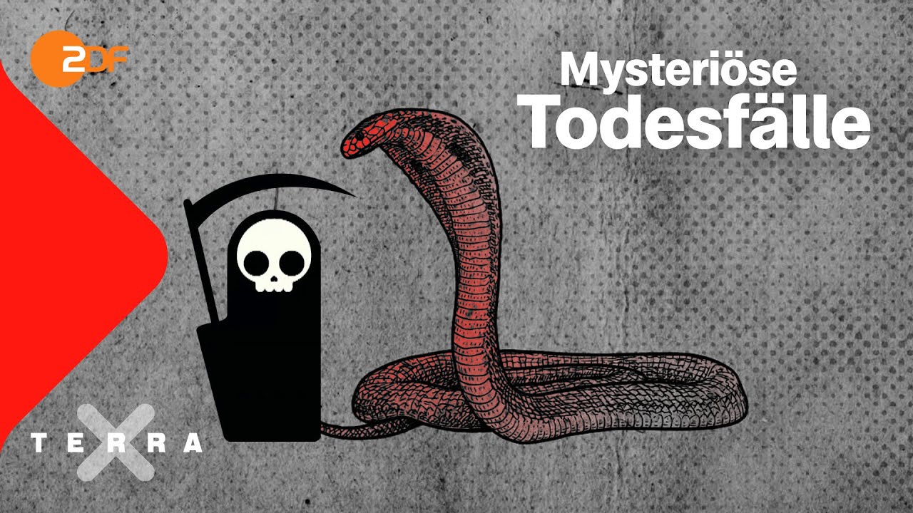 3 mysteriöse Todesfälle der Geschichte | Terra X