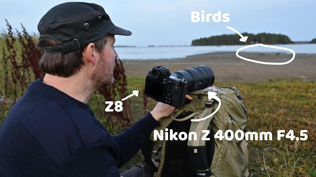Bird Photography in unfavorable light with Nikon Z8 and Z 400mm F4.5