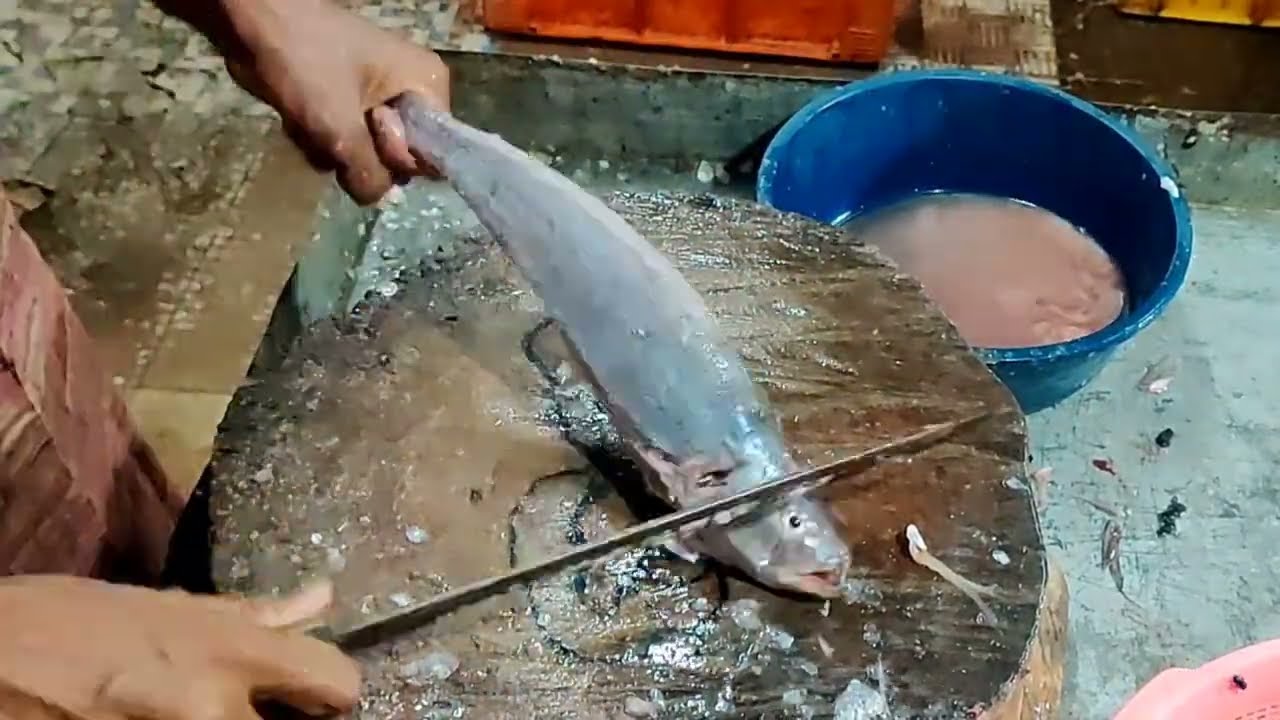 Small Ghol fish cutting🧑&zwj;💻 Machli fish cutting Gujarat fish cutting pallikora fish cutting pallikora
