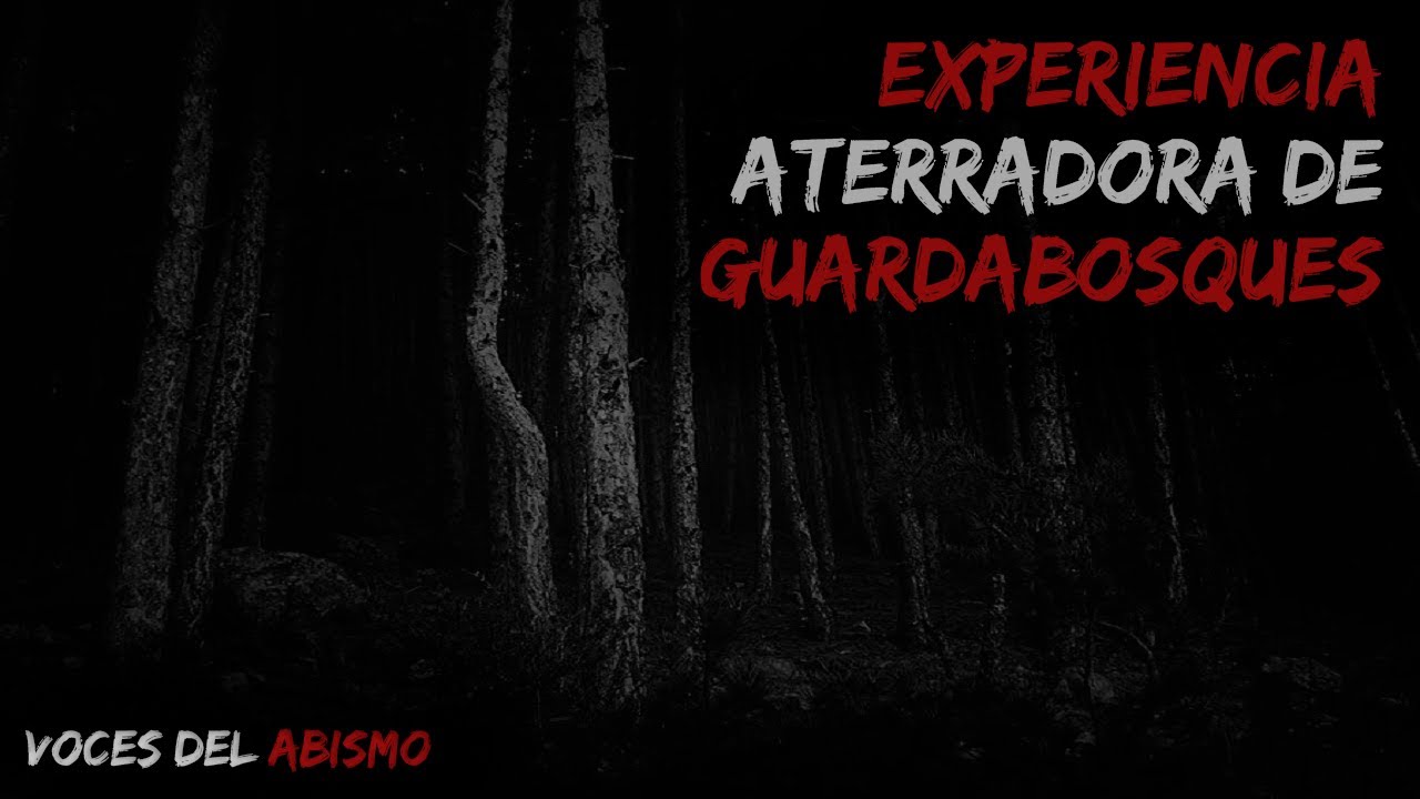 Hay ALGO acechándonos | 2 experiencias aterradoras en bosques