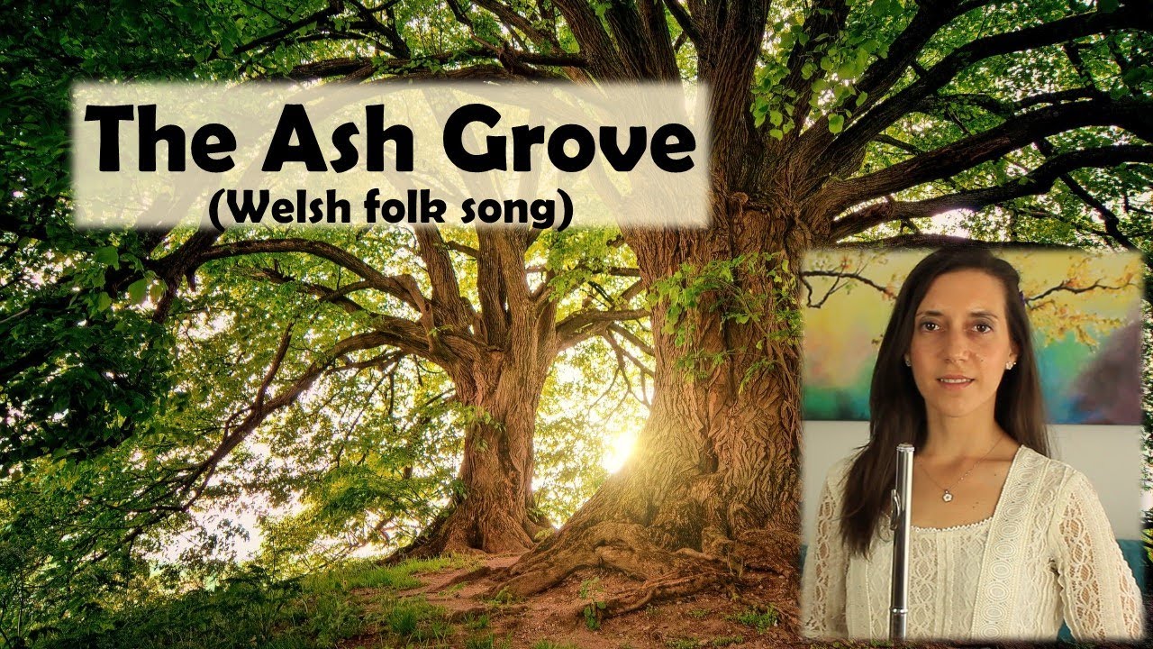 The Ash Grove - Welsh folk song (Flute Cover)